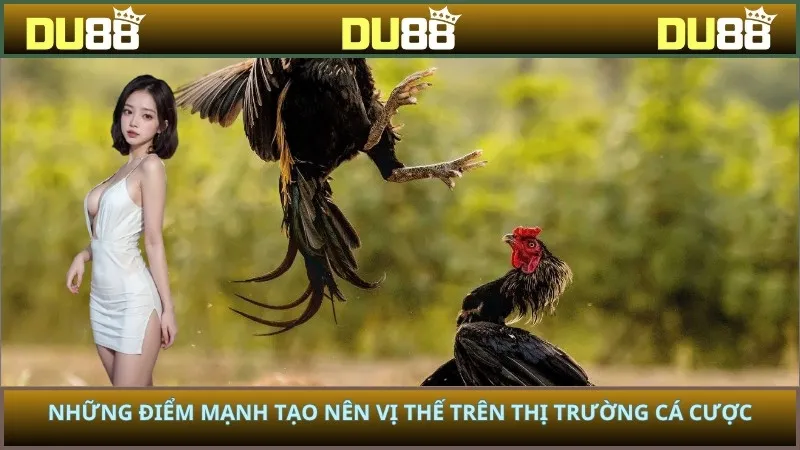 Những điểm mạnh tạo nên vị thế trên thị trường cá cược