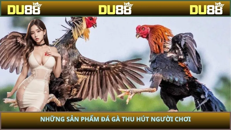 Những sản phẩm đá gà thu hút người chơi