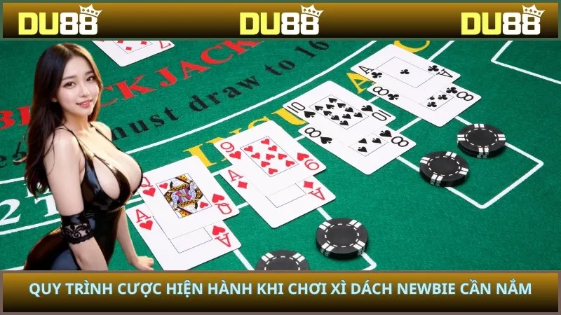 Quy trình cược hiện hành khi chơi xì dách newbie cần nắm