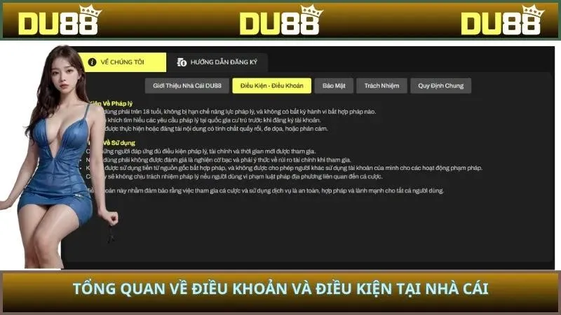 Tổng quan về điều khoản và điều kiện tại nhà cái