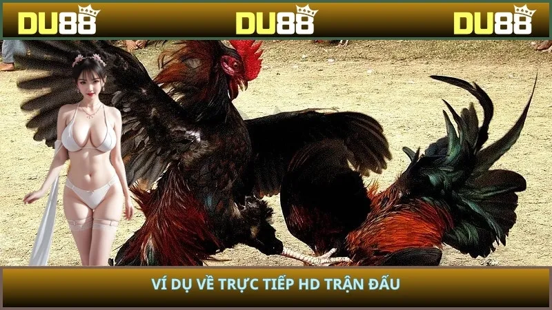 Ví dụ về trực tiếp HD trận đấu