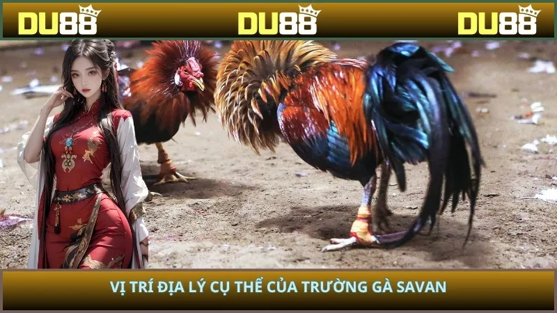 Vị trí địa lý cụ thể của trường gà savan