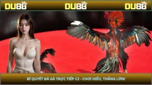Bí Quyết Đá Gà Trực Tiếp C2 - Chơi Hiểu, Thắng Lớn!