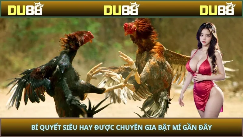 Bí quyết siêu hay được chuyên gia bật mí gần đây