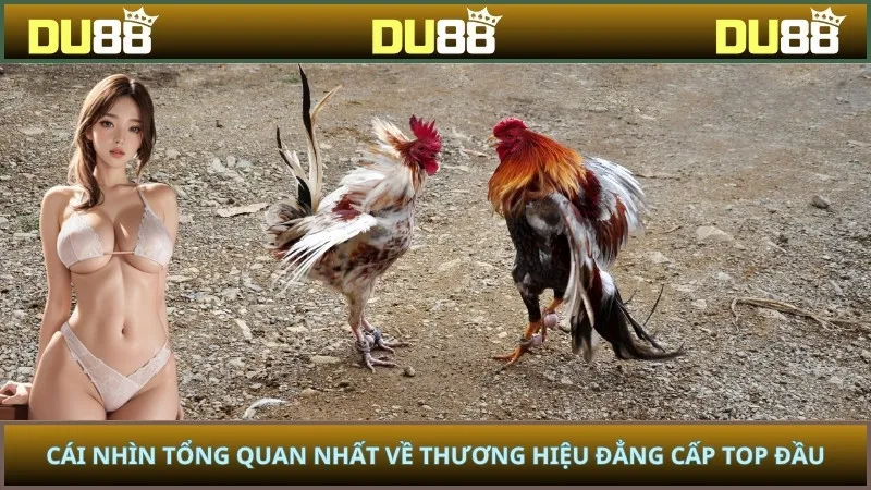 Cái nhìn tổng quan nhất về thương hiệu đẳng cấp top đầu