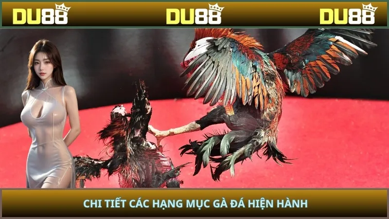 Chi tiết các hạng mục gà đá hiện hành
