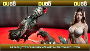 Đá Gà Trực Tiếp C3 Hấp Dẫn Mỗi Ngày Tại Thương Hiệu Uy Tín