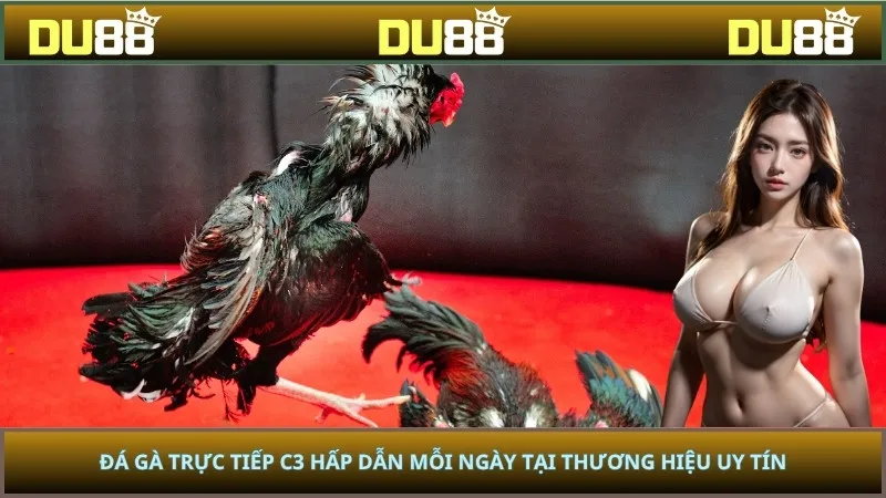 Đá Gà Trực Tiếp C3 Hấp Dẫn Mỗi Ngày Tại Thương Hiệu Uy Tín