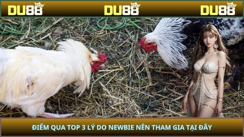 Điểm qua top 3 lý do newbie nên tham gia tại đây
