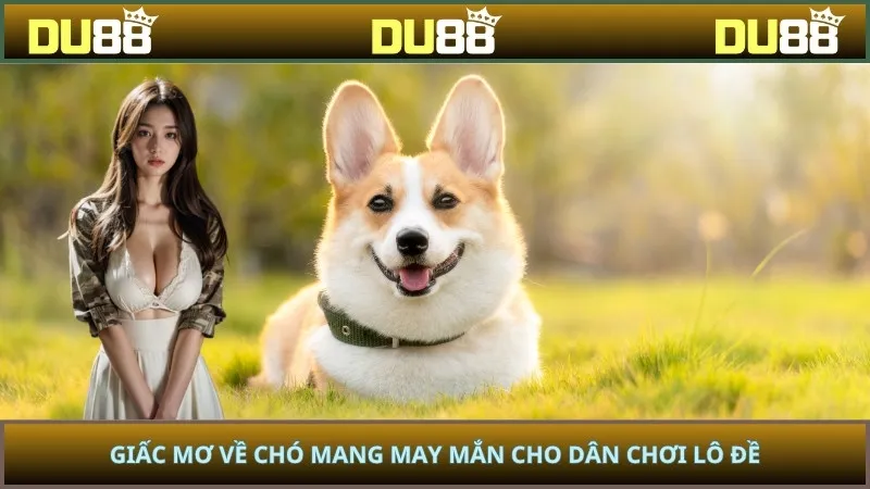 Giấc mơ về chó mang may mắn cho dân chơi lô đề