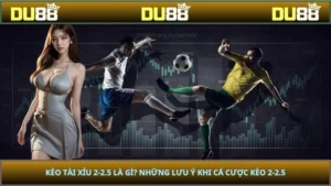 Kèo Tài Xỉu 2-2.5 Là Gì? Những Lưu Ý Khi Cá Cược Kèo 2-2.5