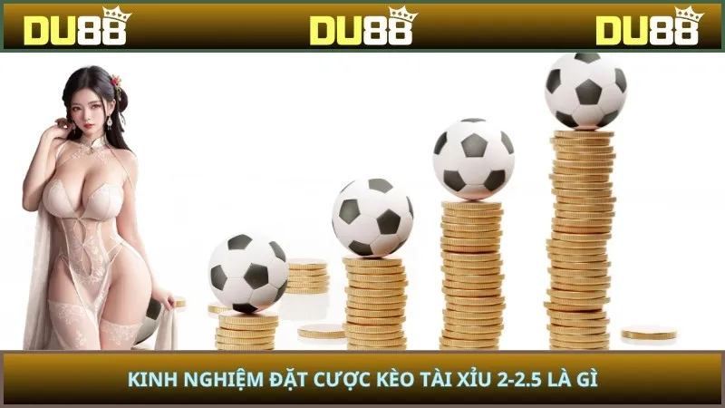 Kinh nghiệm đặt cược kèo tài xỉu 2-2.5 là gì