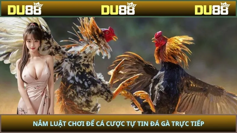 Nắm luật chơi để cá cược tự tin đá gà trực tiếp