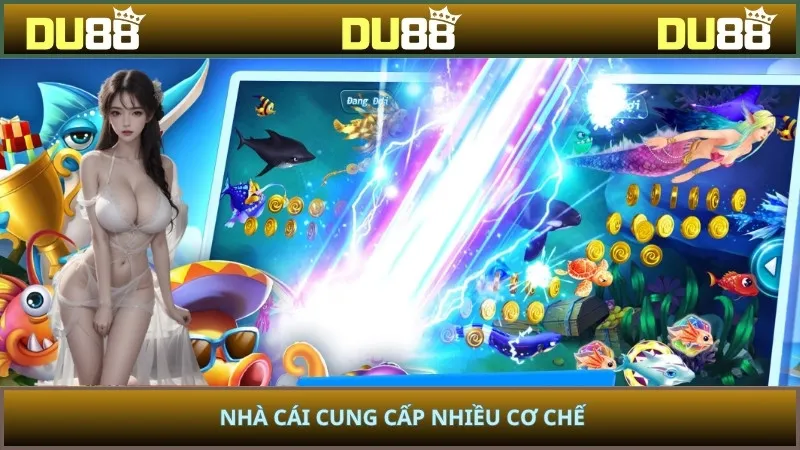 Nhà cái cung cấp nhiều cơ chế