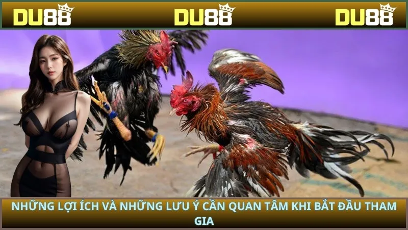 Những lợi ích và những lưu ý cần quan tâm khi bắt đầu tham gia