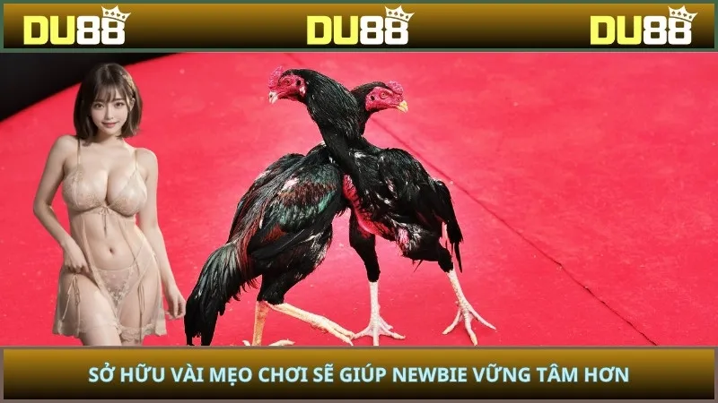 Sở hữu vài mẹo chơi sẽ giúp newbie vững tâm hơn