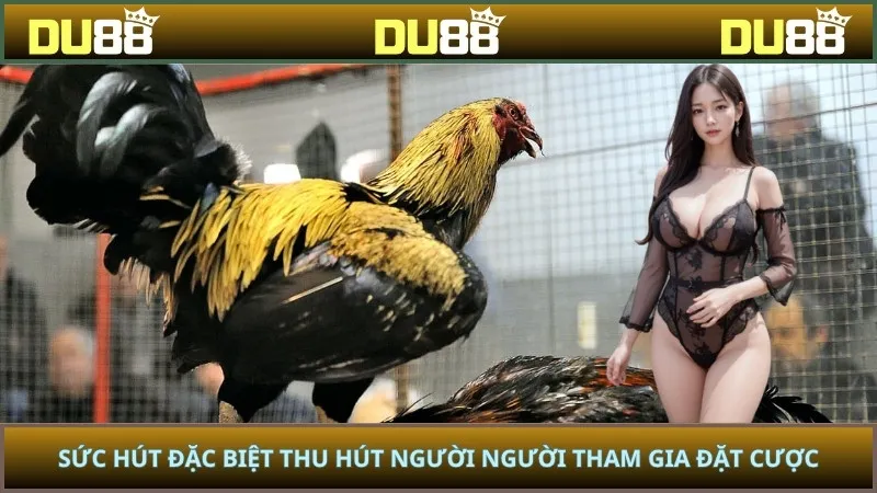 Sức hút đặc biệt thu hút người người tham gia đặt cược