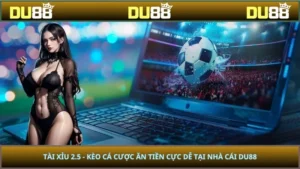 Tài Xỉu 2.5 - Kèo Cá Cược Ăn Tiền Cực Dễ Tại Nhà Cái DU88