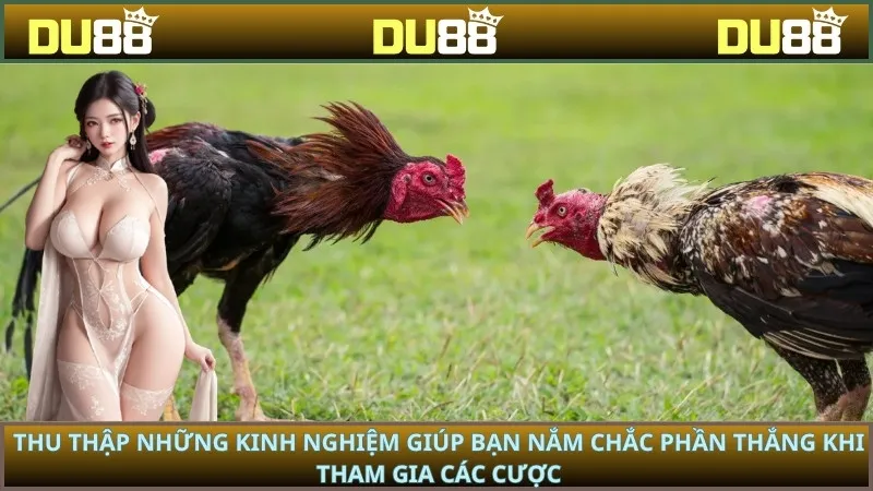 Thu thập những kinh nghiệm giúp bạn nắm chắc phần thắng khi tham gia các cược